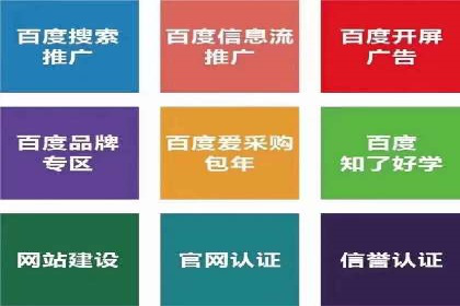搜索引擎优化（SEM）在移动端的实践案例